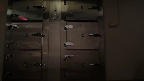 MORGUE REFRIGERATOR DOORS WITH LENS FLARE Stock Footage 73183968