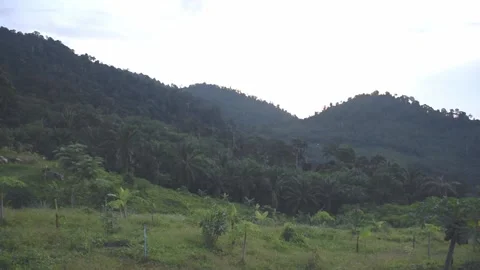 Moring sunrire in southtern Thailand Stock Footage 136315214