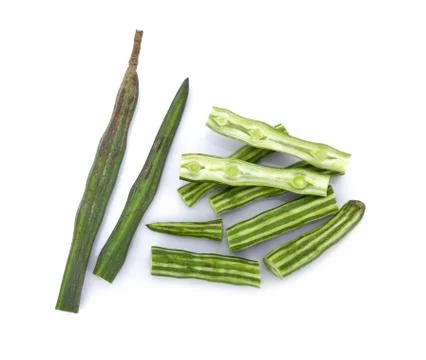 Moringa isolated on white background Stock Photos