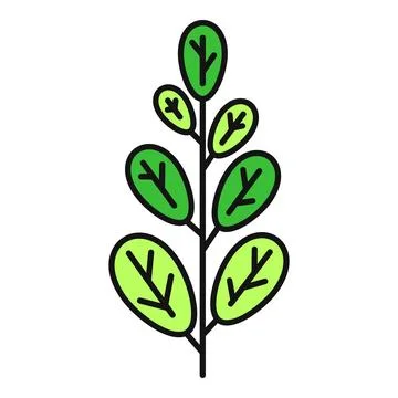 Moringa leaf branch icon representing herbal superfood health Stock Illustration