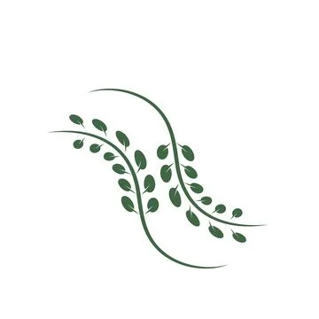 Moringa leaf icon vector illustration design template Stock Illustration