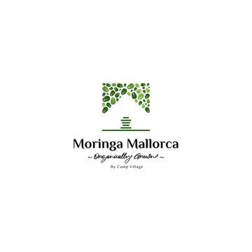 Moringa leaf logo design inspiration. Stock Illustration