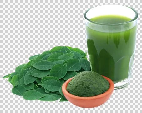 Moringa leaves with extract in Stock Photos
