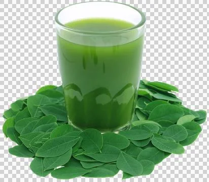 Moringa leaves with extract Stock Photos