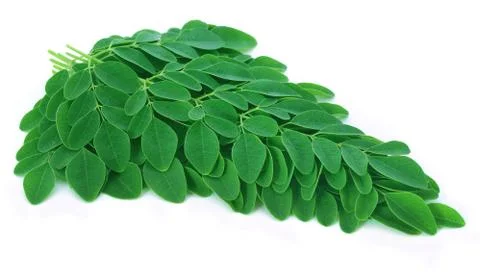 Moringa leaves Stock Photos