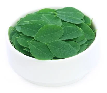 Moringa leaves Stock Photos
