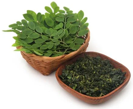 Moringa leaves Foto stock