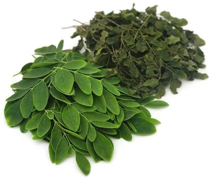 Moringa leaves Stock Photos
