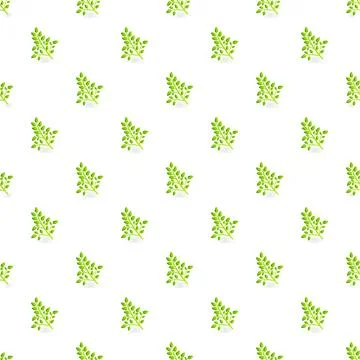 Moringa leaves seamless pattern representing herbal superfood Stock Illustration
