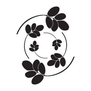 Moringa leaves vector illustration. Stock Illustration