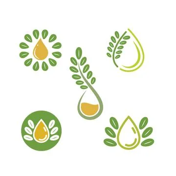 Moringa oil icon vector concept design template Illustrazione stock