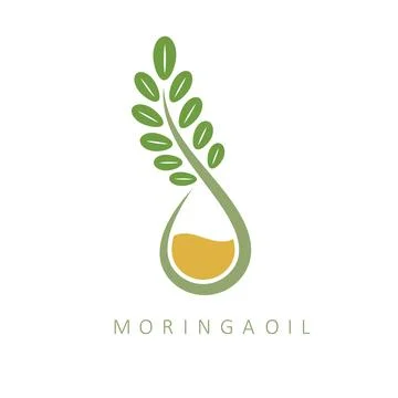 Moringa oil logo icon vector concept design template Illustrazione stock