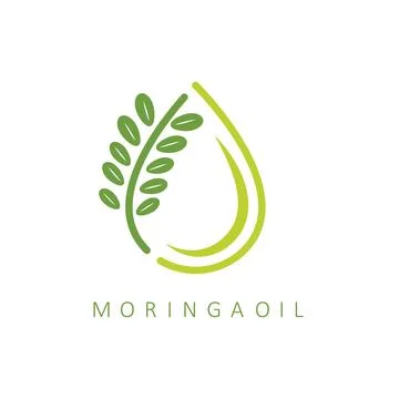 Moringa oil logo icon vector concept design template Illustrazione stock