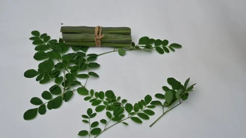 Moringa oleifera or drumstick pods soup. 動画素材 306652282