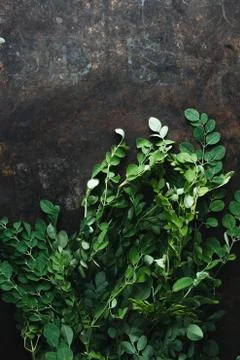 Moringa on rustic background Stock Photos