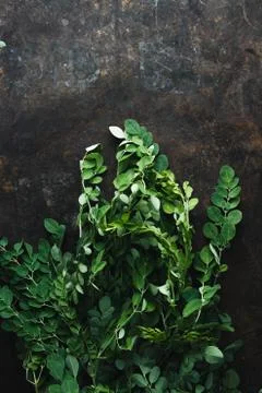 Moringa on rustic background Stock Photos