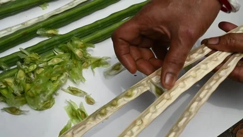 Moringa seeds - Microplastics from water 库存影片 341814594