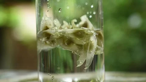 Moringa seeds - Microplastics from water 库存影片 341815051