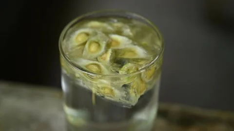 Moringa seeds - Microplastics from water 库存影片 341815804