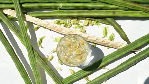 Moringa seeds - Microplastics from water 库存影片 341815824