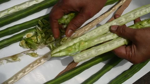 Moringa seeds - Microplastics from water 库存影片 341816591