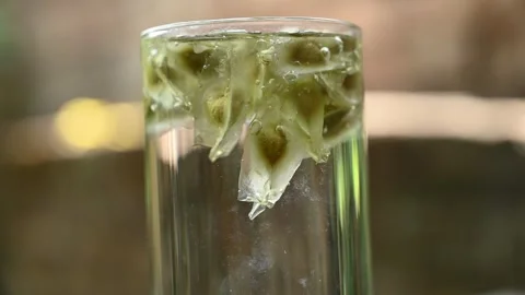 Moringa seeds - Microplastics from water 库存影片 341816889