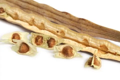 Moringa seeds Stock Photos