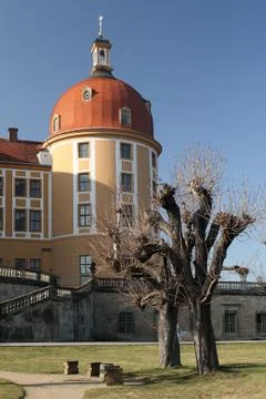 The Moritzburg Castle 库存照片