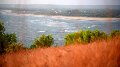 Morjim Beach (Goa), view from the dried grass of Chapora Hill Video stock 61832317