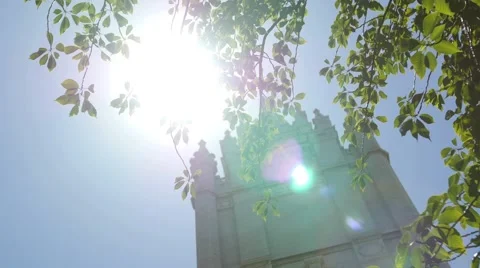 Mormon temple and tree tight shot Vídeos de archivo 52970601