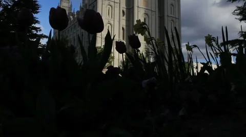 Mormon Temple low-angle Stock Footage 879572