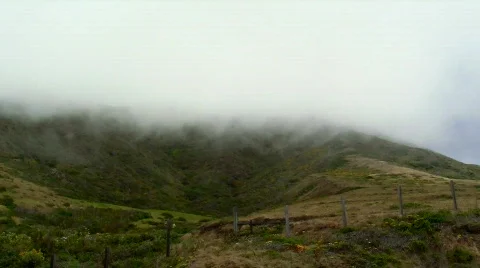 Mornign mist V1 - HD Video stock 780459