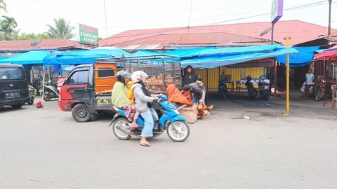 The morning activity of chicken traders. Stock Footage 239533335