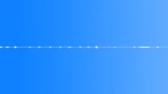 Morning ambience - bird calls and cuckoo 1 Sound Effect