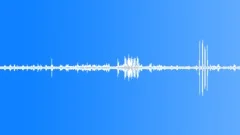 Morning and birds ambience Sound Effect