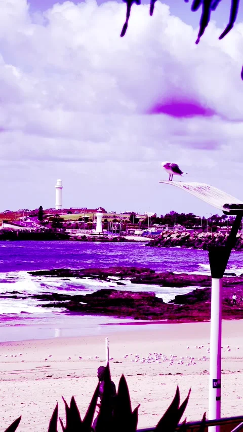 Morning in Australia Stock Footage 343655494