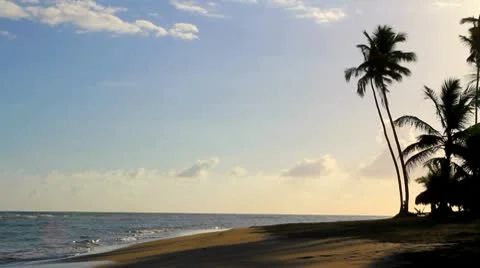 Morning at the beach Stock Footage 10699455