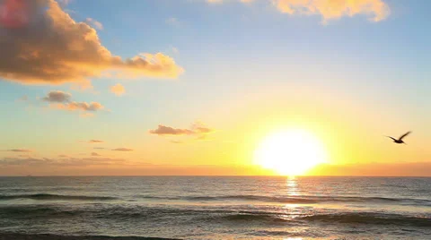 Morning On The Beach Stock Footage 37173888