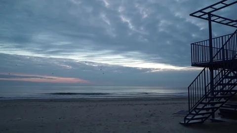 Morning on the beach 動画素材 82647202