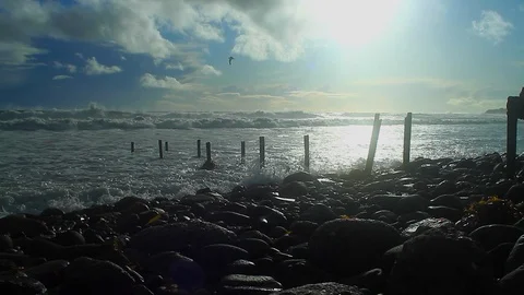 Morning Beach Stock Footage 88794397