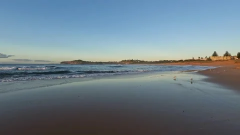 Morning at the Beach Video stock 181229223