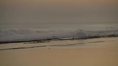 Morning at the beach Stock Footage 272151712