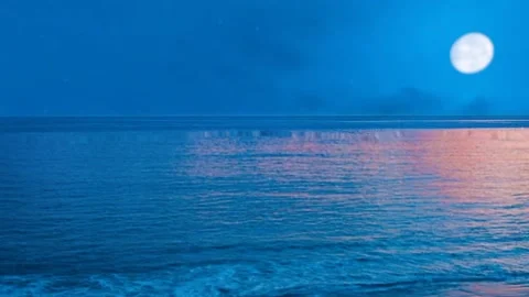 Morning beach scene Видео 232782199