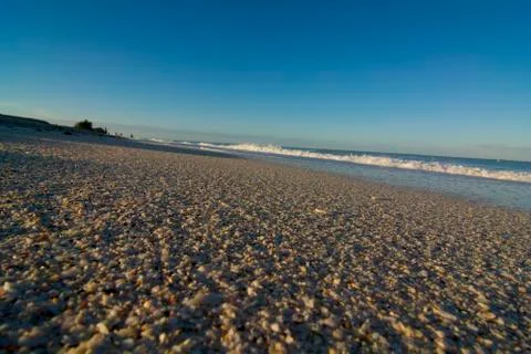 Morning beach with shells Stock Photos