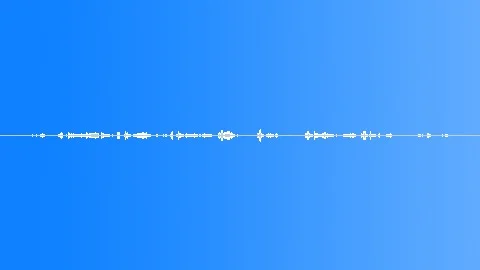 Morning Bird Song North America Sound Effect