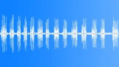 Morning birds and roosters 02 Sound Effect