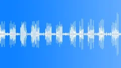 Morning birds and roosters 03 Sound Effect