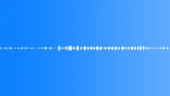 Morning birds are singing in the garden - ambient, background loop 01Sound Effect