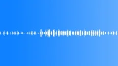Morning birds are singing in the garden - ambient, denoised loop 01Sound Effect