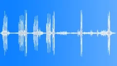 Morning Birds ChirpingSound Effect